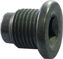 ПРОБКА МАСЛЯНОГО КАРТЕРА R9-19- CLIO-KANGOO
