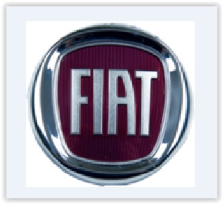 ЭМБЛЕМА FIAT PUNTO EVO (BORDO) (ДИАМЕТР:85мм)